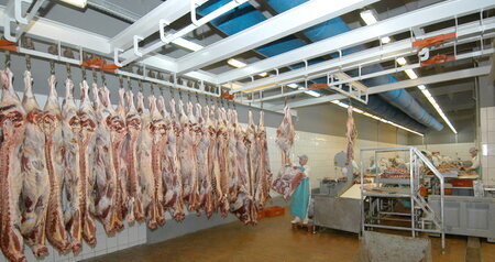 Дезинсекция на мясокомбинате в Подольске, цены на услуги