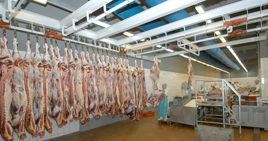 Дезинсекция на мясокомбинате в Подольске, цены на услуги